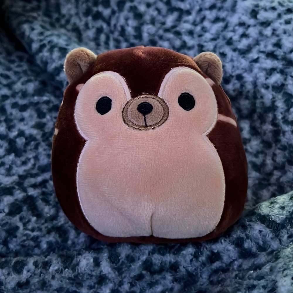 Squishmallow Small